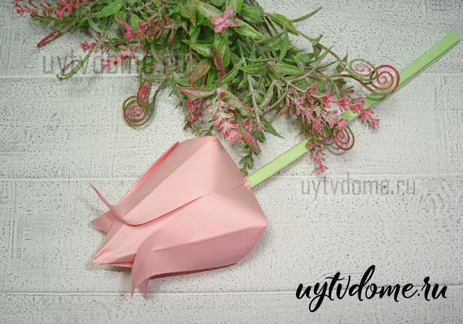 Оригами тюльпан из бумаги своими руками: пошаговая инструкция по созданию