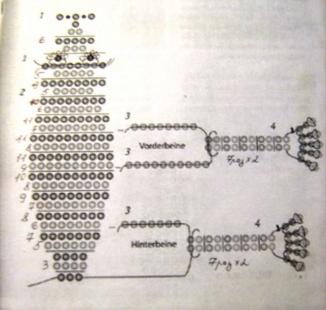 Схема плетения лягушки из бисера